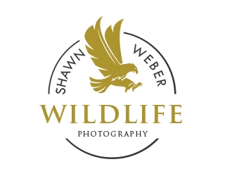 Shawn Weber Wildlife Photography logo design by sarfaraz