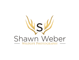 Shawn Weber Wildlife Photography logo design by cintya