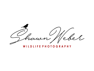 Shawn Weber Wildlife Photography logo design by Girly