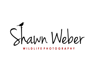 logo design by Girly