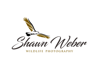Shawn Weber Wildlife Photography logo design by ingepro