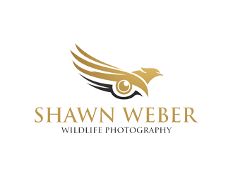 Shawn Weber Wildlife Photography logo design by Rizqy