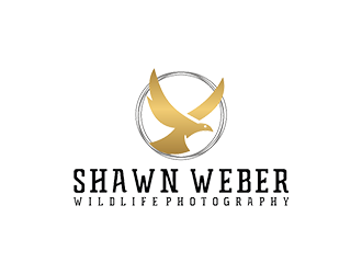 logo design by EkoBooM