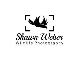 Shawn Weber Wildlife Photography logo design by Junaid