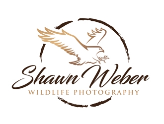 logo design by DreamLogoDesign