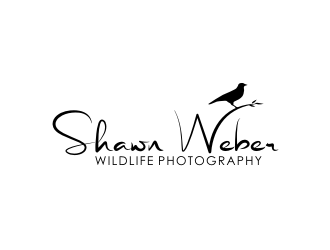 Shawn Weber Wildlife Photography logo design by rdbentar