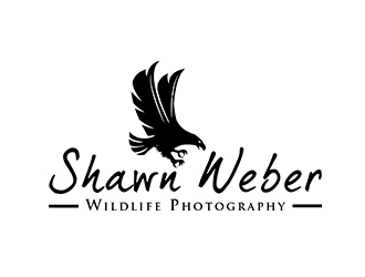 logo design by PrimalGraphics