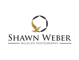 Shawn Weber Wildlife Photography logo design by hopee