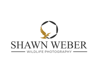 logo design by hopee