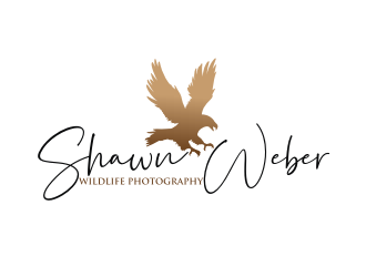Shawn Weber Wildlife Photography logo design by coco