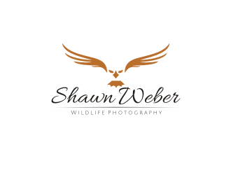 logo design by R-art