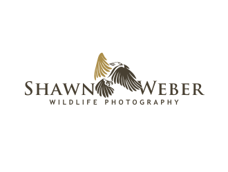 Shawn Weber Wildlife Photography logo design by dhe27