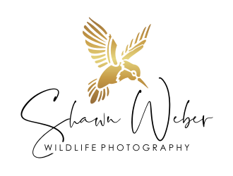 Shawn Weber Wildlife Photography logo design by puthreeone