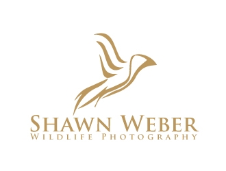 logo design by AamirKhan