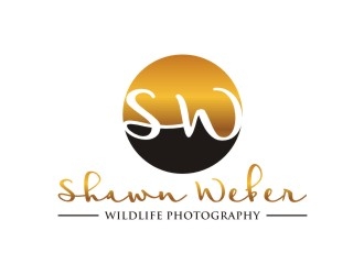 logo design by sabyan