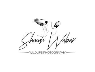 Shawn Weber Wildlife Photography logo design by qqdesigns
