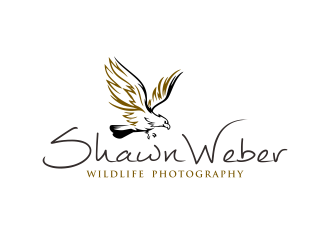 logo design by ingepro