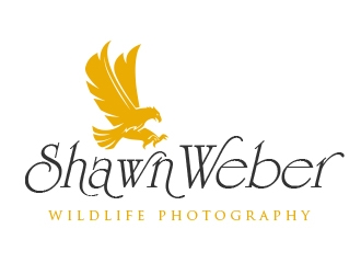 logo design by sarfaraz