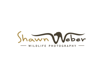 Shawn Weber Wildlife Photography logo design by dhe27
