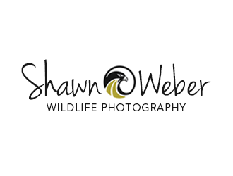 logo design by kunejo