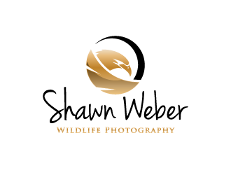 Shawn Weber Wildlife Photography logo design by pencilhand