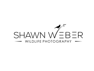 logo design by rdbentar