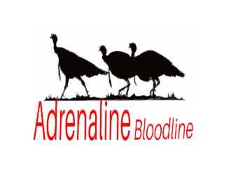  logo design by kitaro