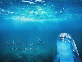 Mel Mae Photography logo design by Rossee