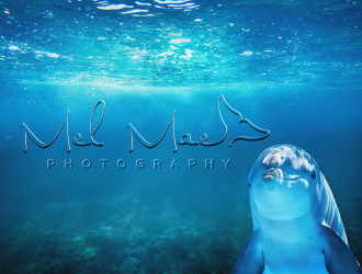 Mel Mae Photography logo design by Rossee