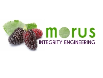Morus Integrity Engineering logo design by Rexx