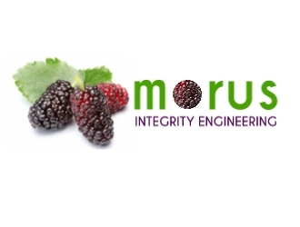 Morus Integrity Engineering logo design by Rexx