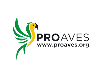  logo design by Rizqy
