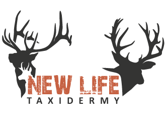 New Life Taxidermy logo design by mppal