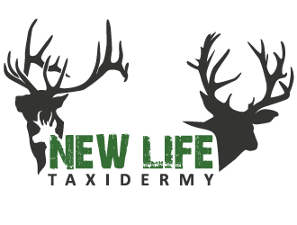 New Life Taxidermy logo design by mppal