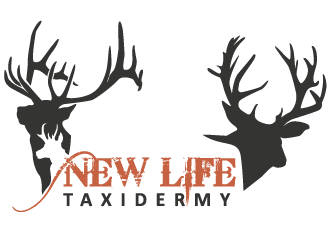 New Life Taxidermy logo design by mppal