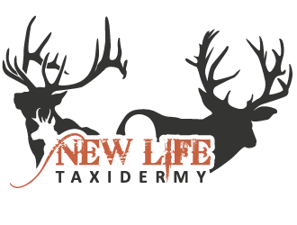 New Life Taxidermy logo design by mppal