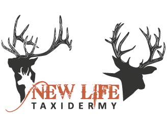New Life Taxidermy logo design by mppal