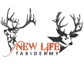  logo design by mppal