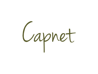 CAPNET logo design by bricton