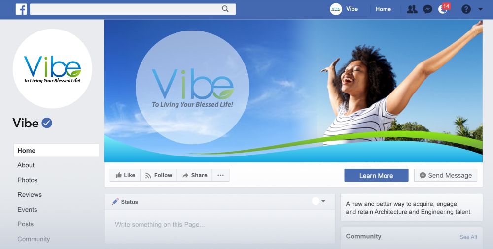 Vibe Fitness and Beauty  logo design by zonpipo1