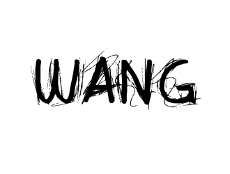 WANG logo design by BeDesign