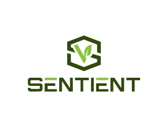 Sentient Ventures  logo design by pambudi