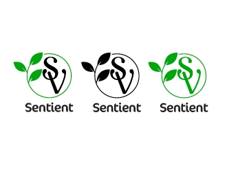 Sentient Ventures  logo design by Royan