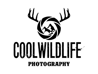 Coolwildlife Photography logo design by cikiyunn