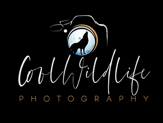  logo design by 3Dlogos