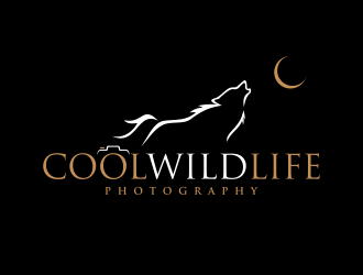  logo design by ingepro