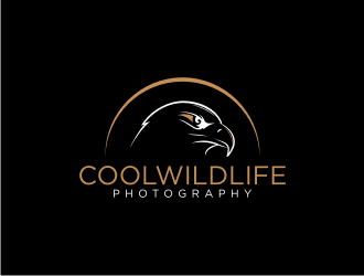  logo design by blessings