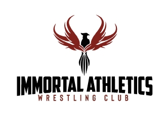 logo design by AamirKhan