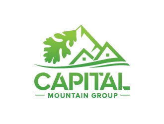 Capital Mountain Group logo design by sanu