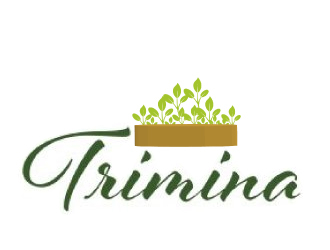 Trimina logo design by AamirKhan